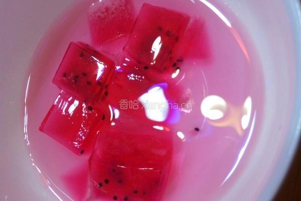 火龙果白凉粉果冻牛奶的做法图解2