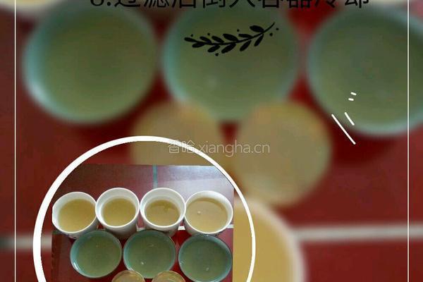 海石花果冻的做法图解8