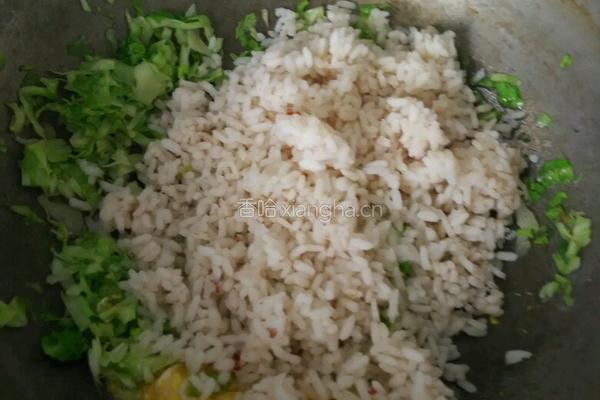白菜鸡蛋炒饭的做法图解5