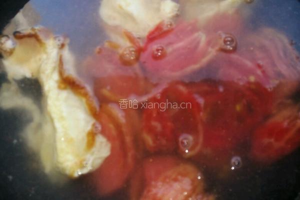 番茄鸡蛋汤的做法图解9