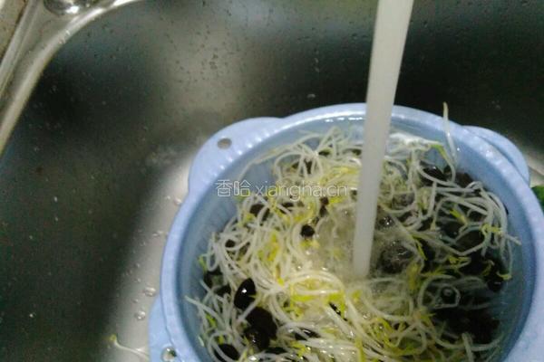 凉拌豆芽木耳的做法图解4