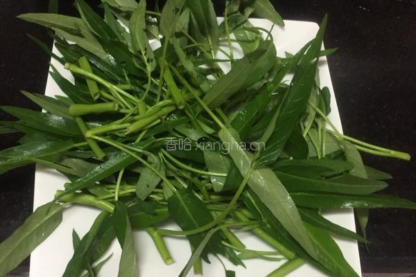 凉拌空心菜的做法图解1