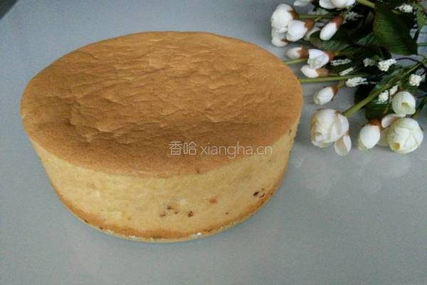 蔓越莓戚风蛋糕的做法图解18