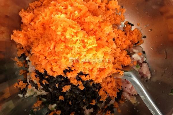 猪肉木耳胡萝卜水饺的做法图解4