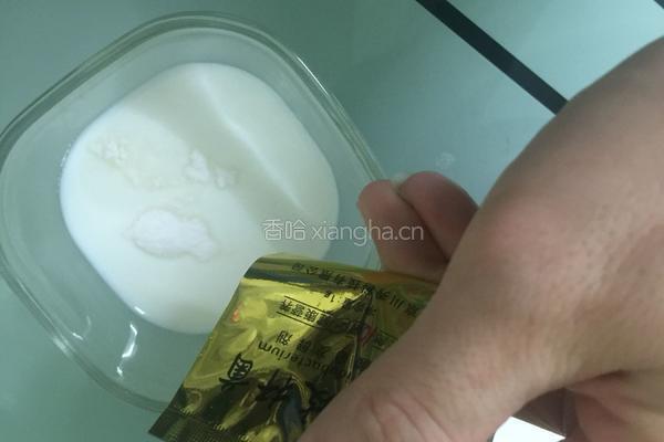 diy希腊酸奶的做法图解4