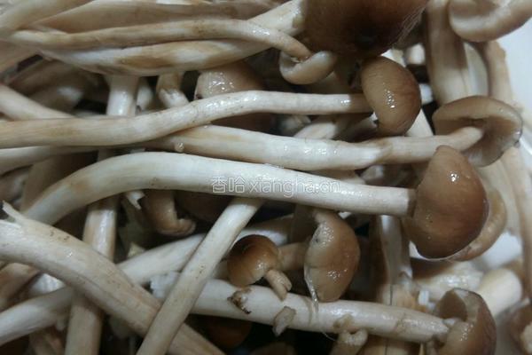 茶树菇炒五花肉的做法图解1