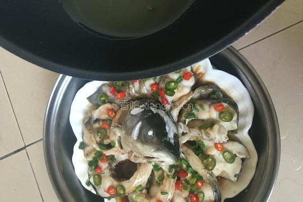 清蒸草鱼之孔雀开屏的做法图解16