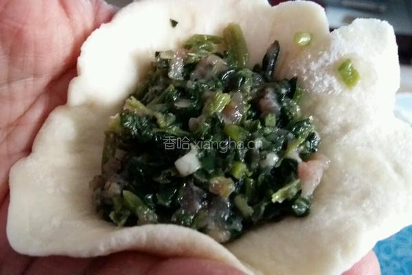 牛肉包子的做法图解8