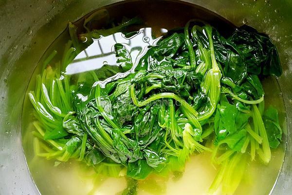 菜饼的做法图解6