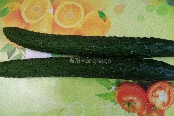 荆芥拌黄瓜的做法图解2