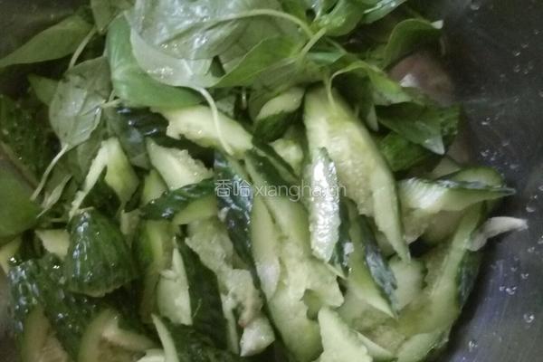 荆芥拌黄瓜的做法图解4