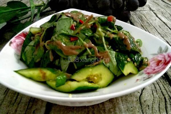荆芥拌黄瓜的做法图解7