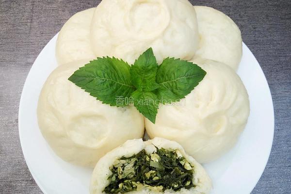 鸡蛋茴香包子的做法图解19