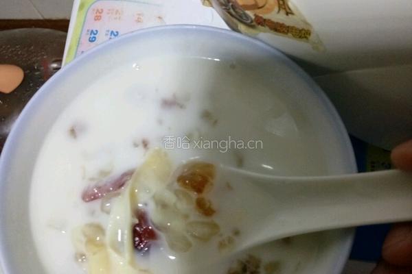 牛奶炖花胶的做法图解4