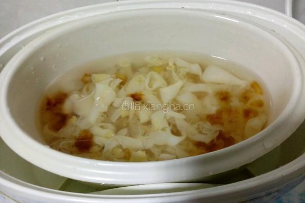 牛奶炖花胶的做法图解2