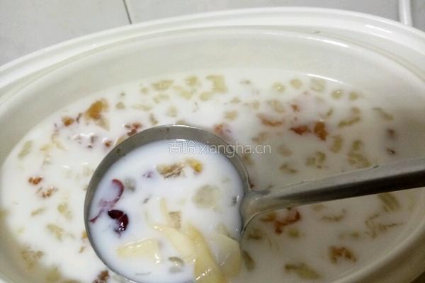 牛奶炖花胶的做法图解3