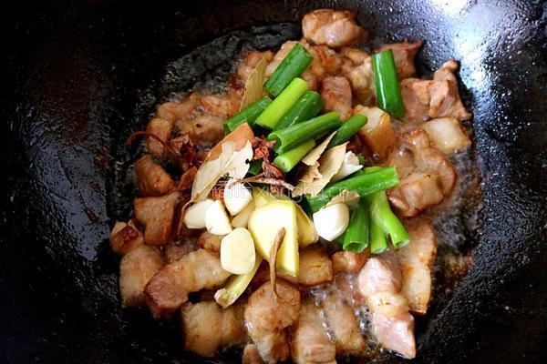 红烧肉炖豆角的做法图解5