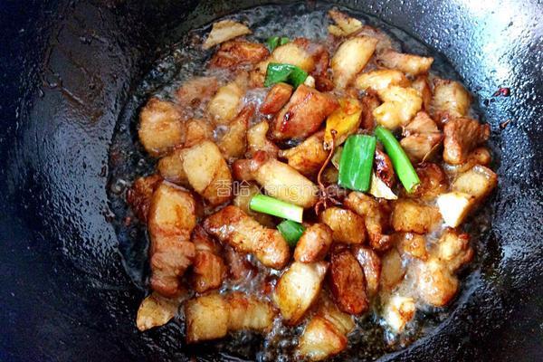 红烧肉炖豆角的做法图解6