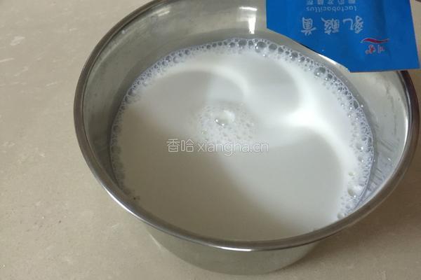 自制酸奶的做法图解4