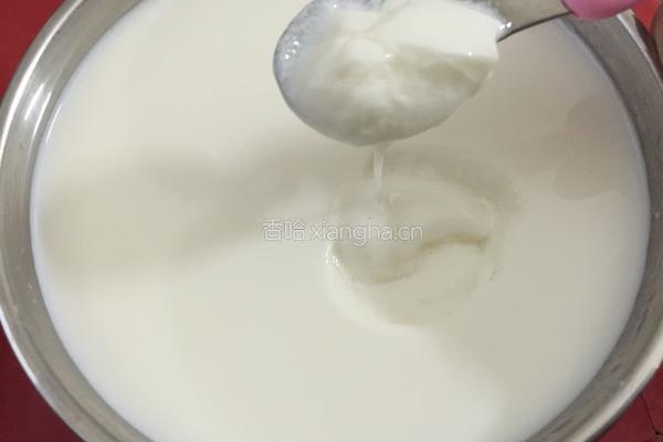 自制酸奶的做法图解7