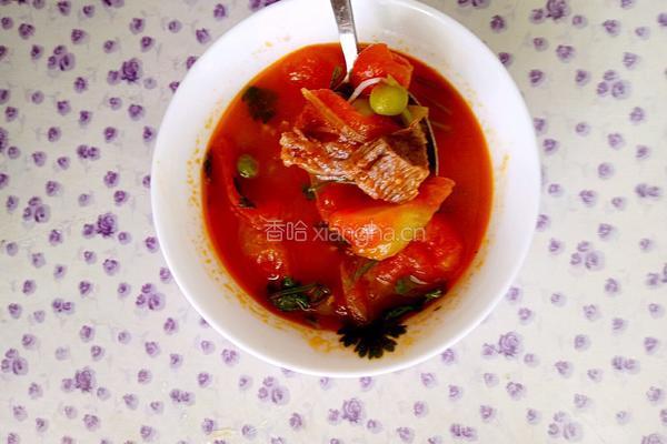 西红柿豌豆牛肉汤的做法图解12