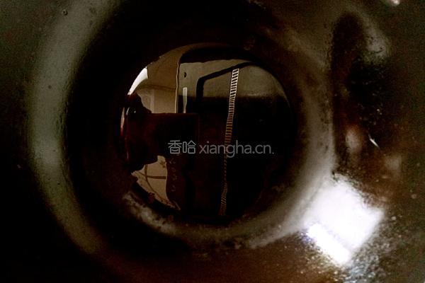 西红柿豌豆牛肉汤的做法图解3