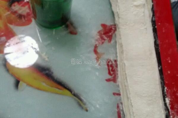 和面的做法图解4