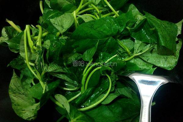 蒜香豆鼓炒红薯叶的做法图解4
