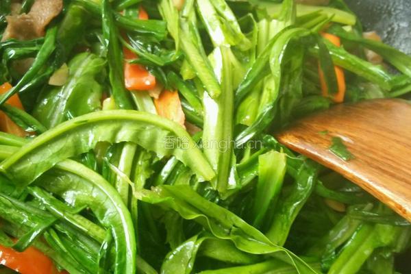 肉片辣炒油麦菜的做法图解8