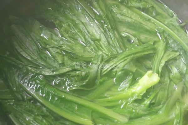 麻酱油麦菜的做法图解3