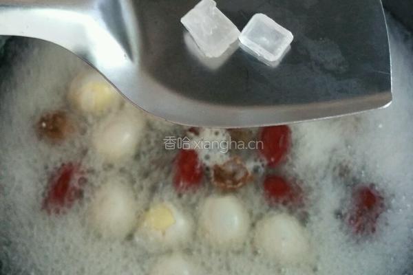 健脾三圆汤的做法图解6