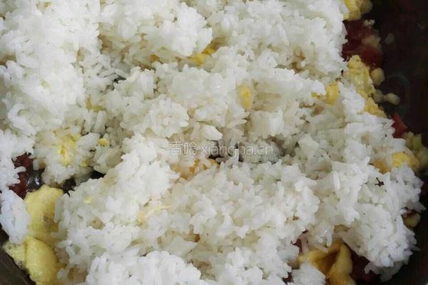 广式香肠蛋炒饭的做法图解6