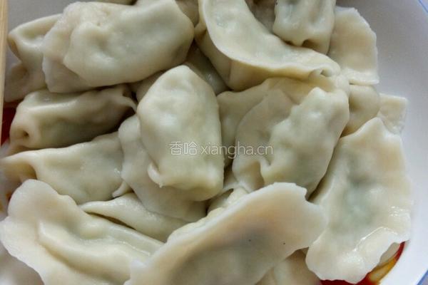 西葫芦鸡蛋虾皮饺子