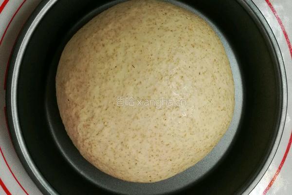 益糖全麦餐包(糖尿病糖友食谱)(减肥瘦身适用)的做法图解8