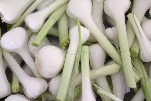 东北糖蒜腌制做法的做法图解1