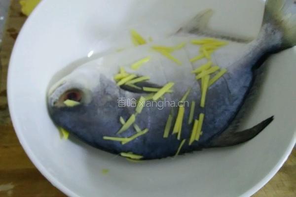 红烧鲳鱼的做法图解2