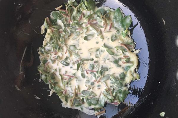 马齿菜鸡蛋煎饼的做法图解9