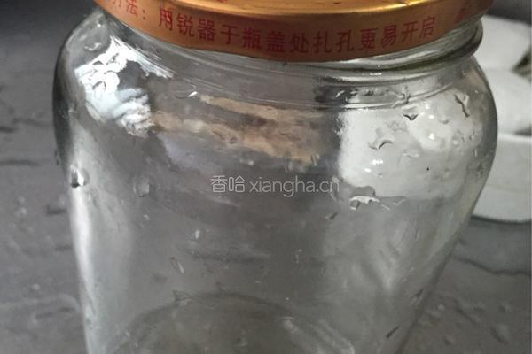 自制蜜桃罐头的做法图解1
