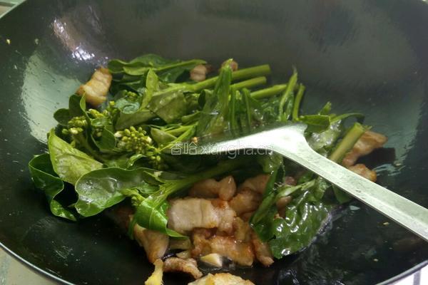 五花肉炒芥兰的做法图解7