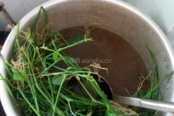 夏日靓汤 狗肝菜瘦肉汤的做法图解3