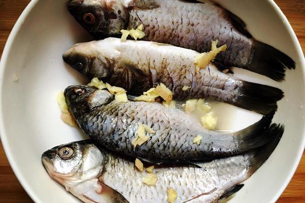鲫鱼炖豆腐的做法图解1