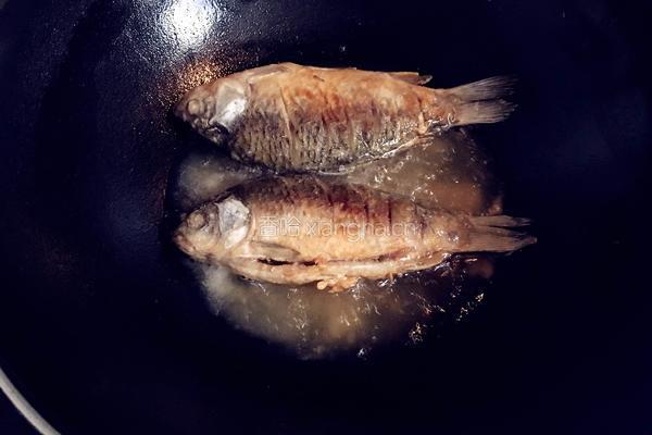 鲫鱼炖豆腐的做法图解4