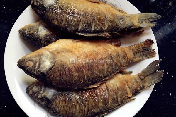 鲫鱼炖豆腐的做法图解6