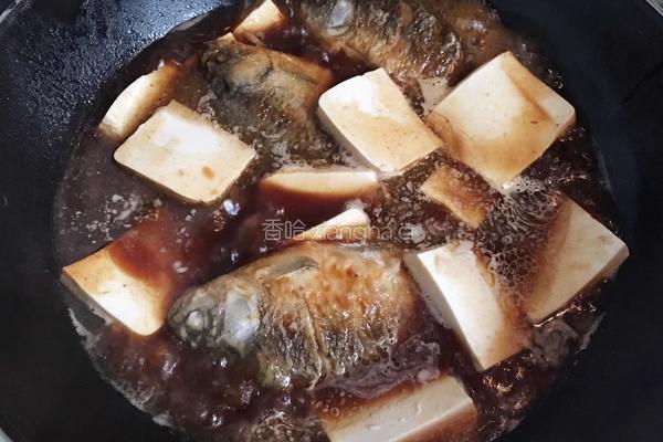 鲫鱼炖豆腐的做法图解7