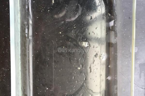 水晶果冻的做法图解6