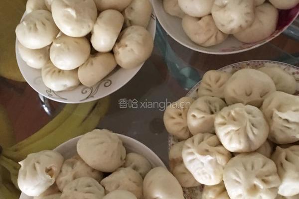 猪肉大葱包的做法图解4