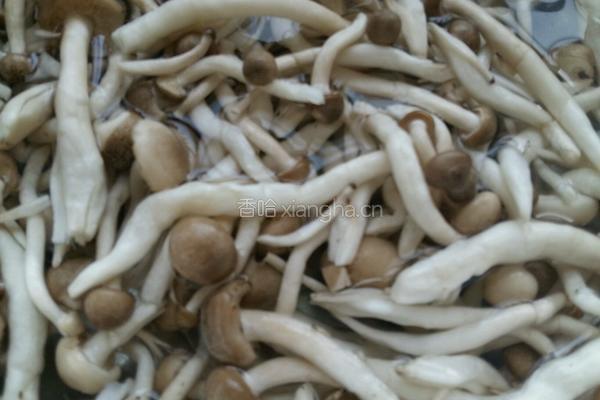 蟹味菇五花肉的做法图解1
