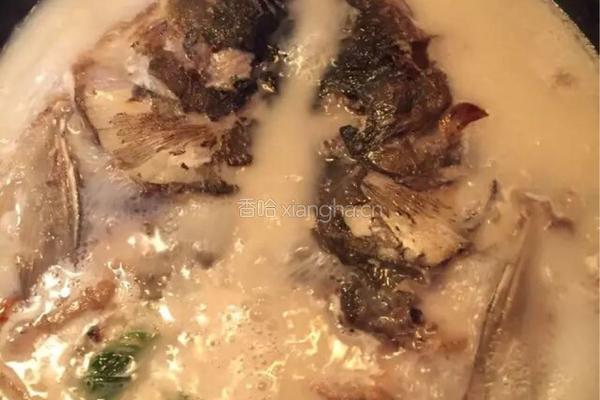 奶汤鱼头的做法图解5
