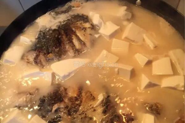 奶汤鱼头的做法图解4