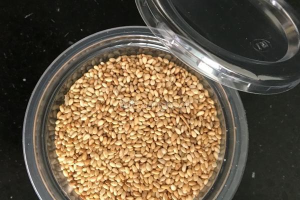 电压力锅版糖醋排骨的做法图解5